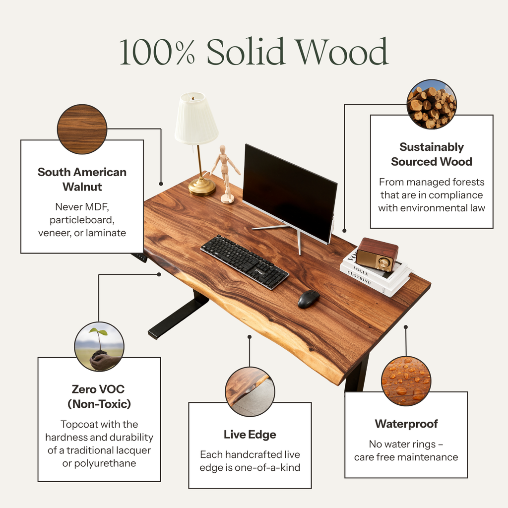 EarthyGrain Motorized Adjustable Standing Desk - Black Frame & Live Edge Walnut