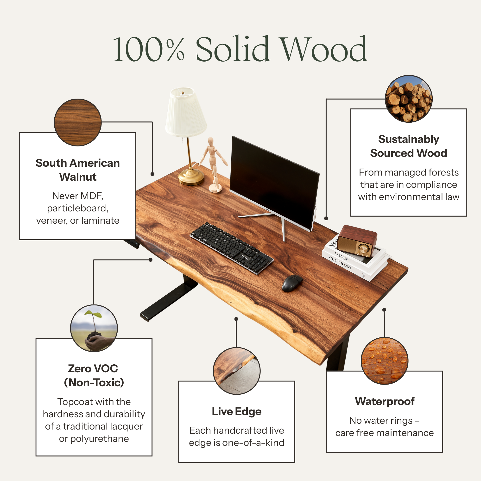 EarthyGrain Motorized Adjustable Standing Desk - White Frame & Live Edge Walnut