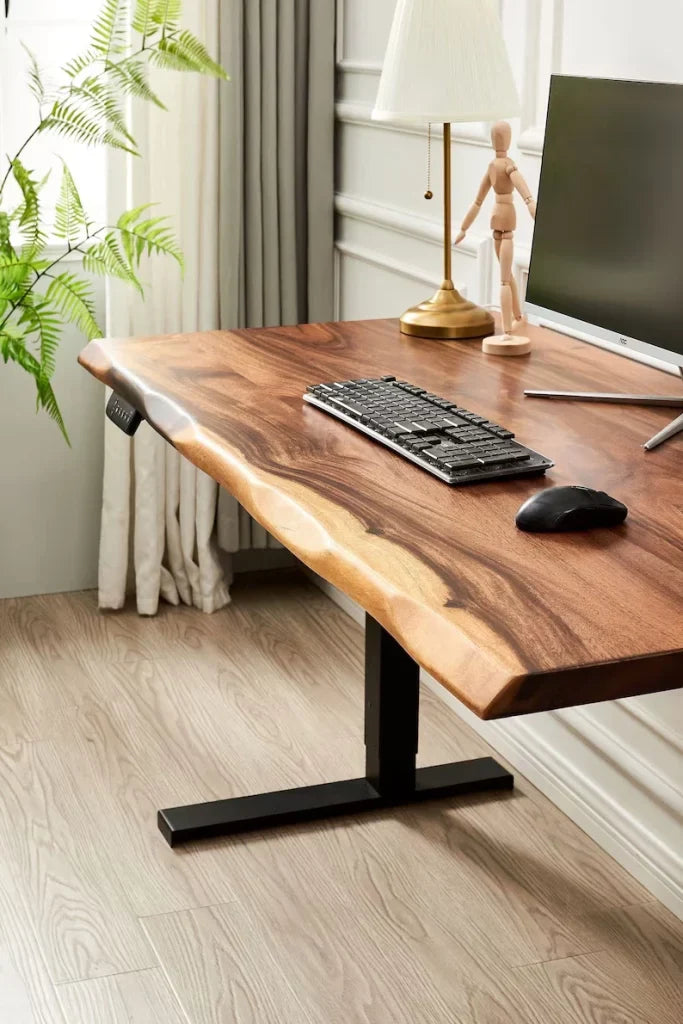 EarthyGrain Motorized Adjustable Standing Desk - Black Frame & Live Edge Walnut