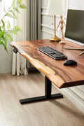 EarthyGrain Motorized Adjustable Standing Desk - Black Frame & Live Edge Walnut